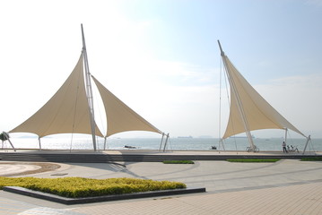 乒乓球运动现状和发展趋势