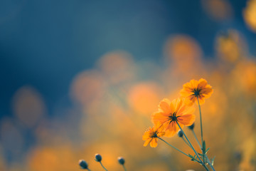 乒乓球运动现状和发展趋势