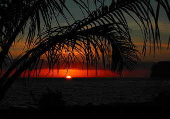 乒乓球正手平击发球的要点是什么？