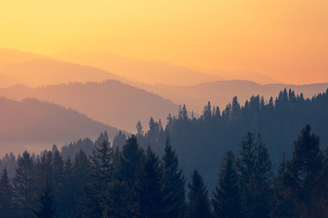 张怡宁和邓亚萍谁更厉害？