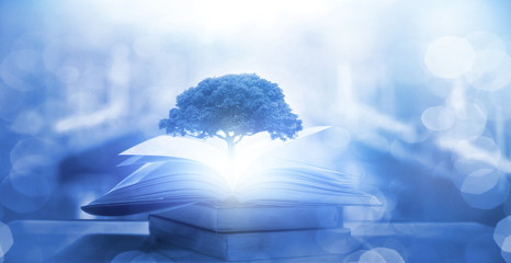 餐饮公司管理流程