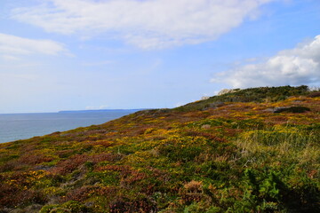 乒乓球运动现状和发展趋势