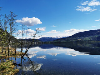 乒乓球运动现状和发展趋势