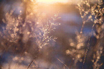 乒乓球正手平击发球的要点是什么？