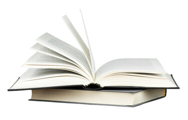 中国乒乓球运动员排行榜前十名