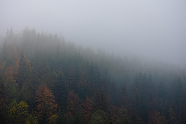 乒乓球发球技巧