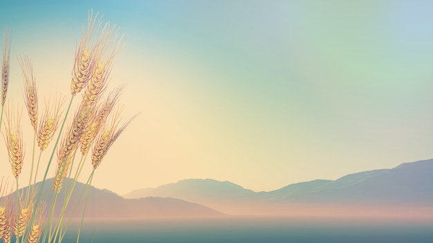 深圳乒乓球私教班机构