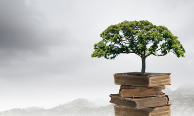 张怡宁和邓亚萍谁更厉害？