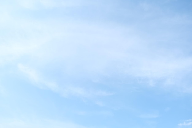 形容乒乓球运动员风采的词语