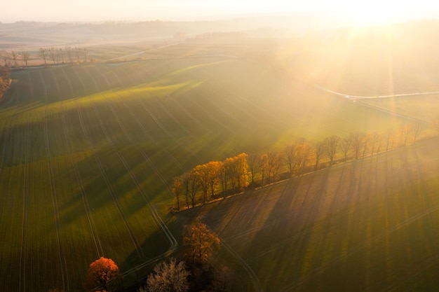 历届女单冠军一览表