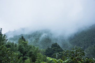 深圳乒乓球私教班机构